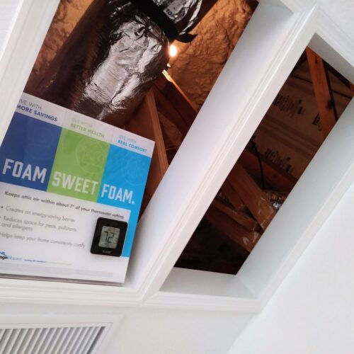 New Homes Meritage Bearss Landing REALTOR Candis Carmichael