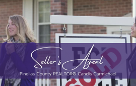 Seller's Agent - Pinellas County REALTOR Candis