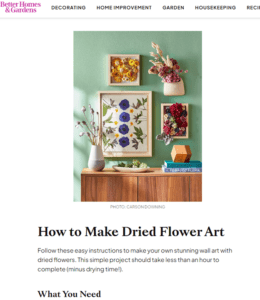 How to Make Dried Flower Shadowbox Art - candiscarmichael-com