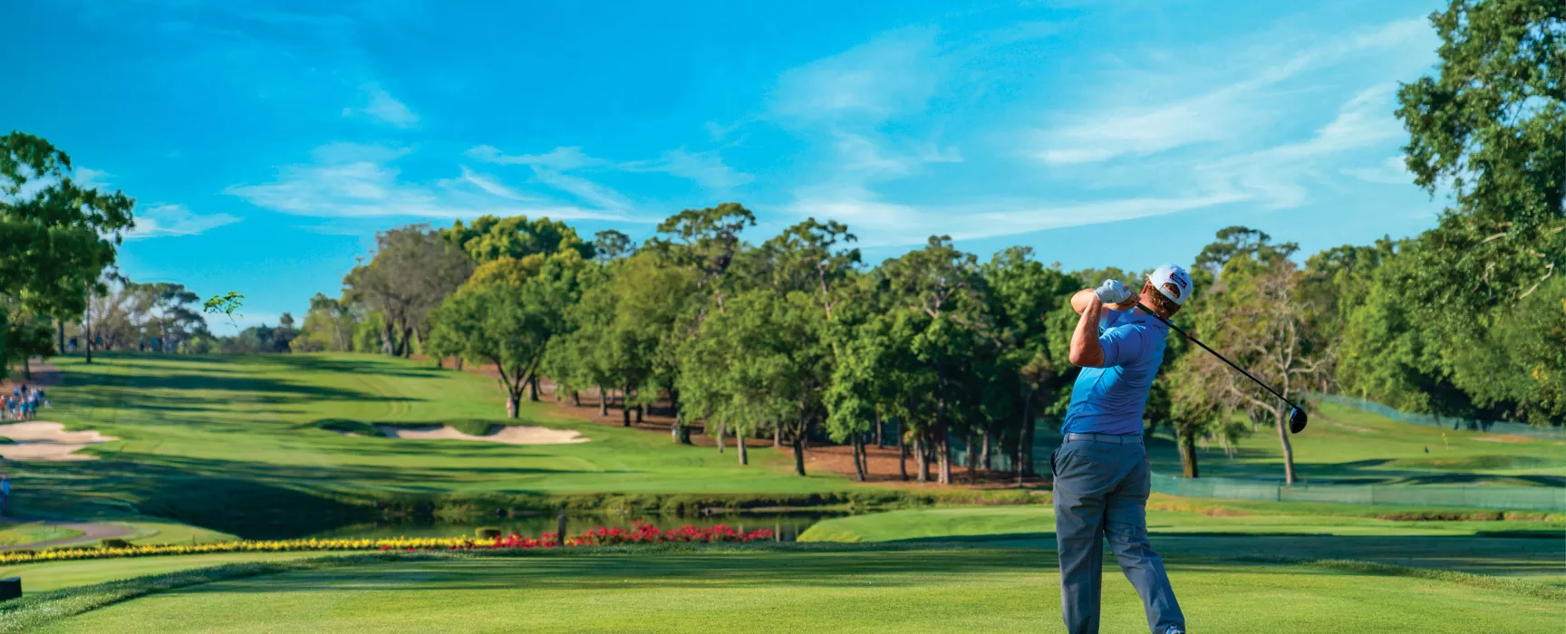 Palm Harbor Florida - Pinellas County Realtor Candis Carmichael