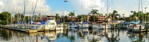 Safety Harbor Florida - Pinellas County Realtor Candis Carmichael