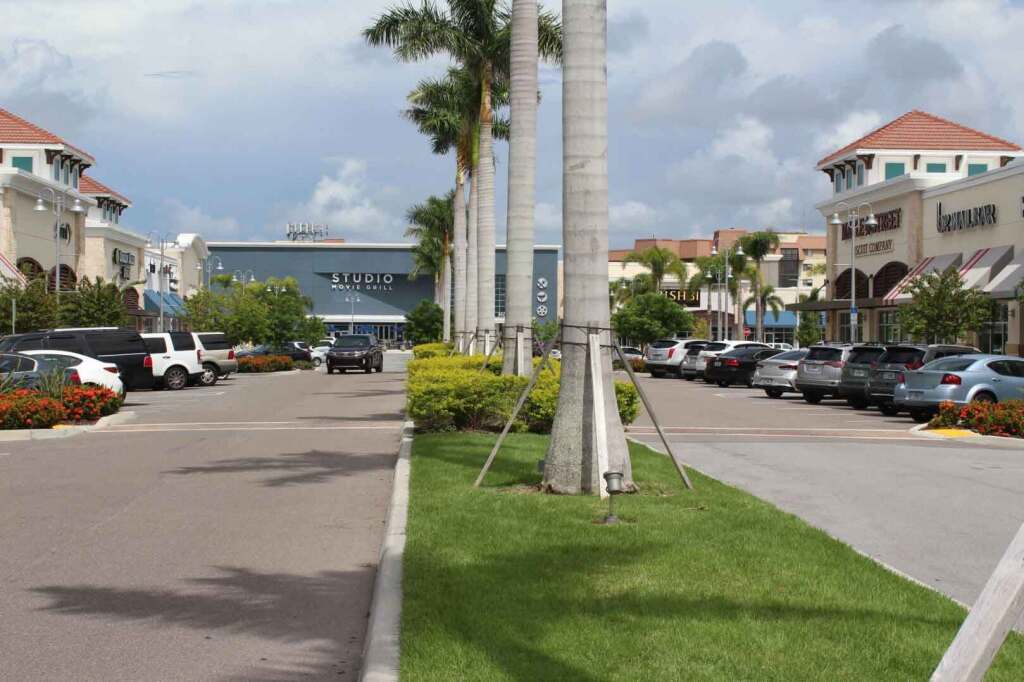 Seminole Florida - Pinellas County Realtor Candis Carmichael