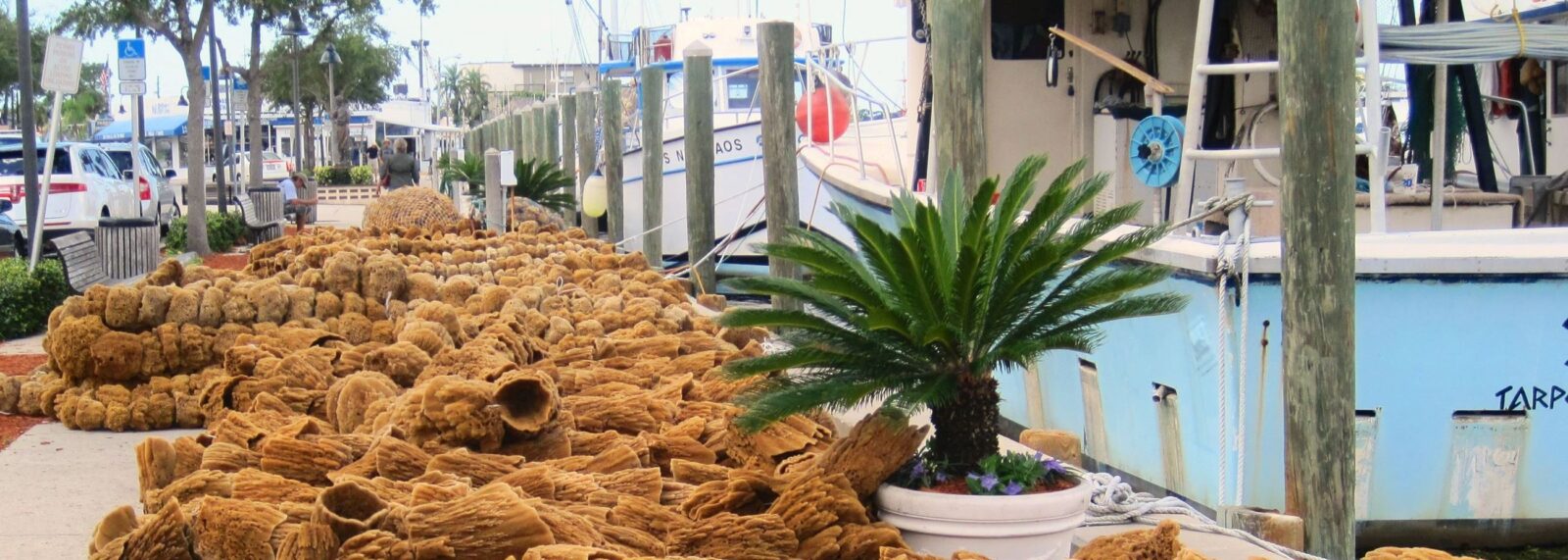 Tarpon Springs Florida - Pinellas County Realtor Candis Carmichael